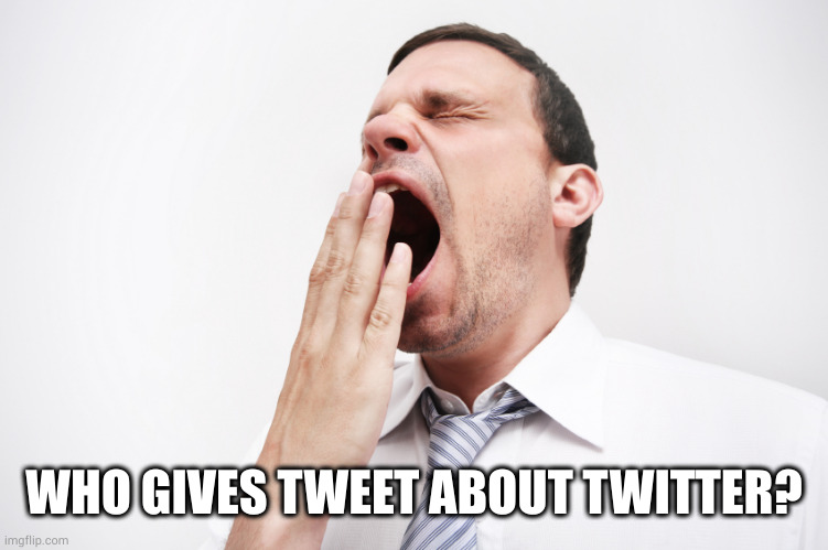 yawn | WHO GIVES TWEET ABOUT TWITTER? | image tagged in yawn | made w/ Imgflip meme maker