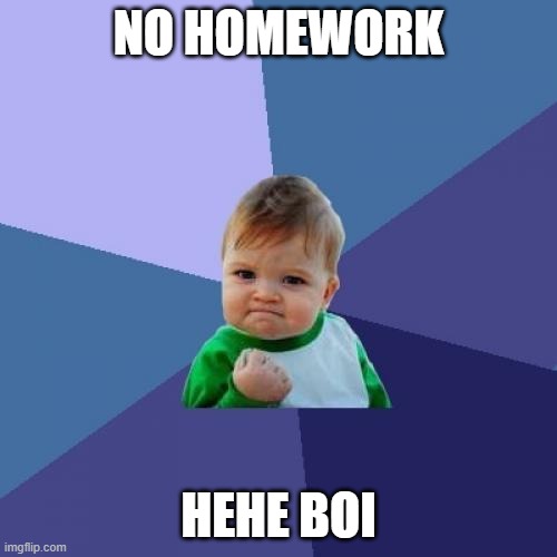 no homework | NO HOMEWORK; HEHE BOI | image tagged in memes,success kid | made w/ Imgflip meme maker