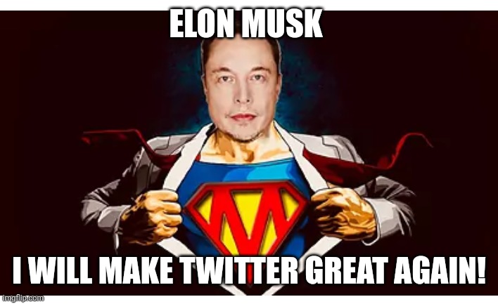 make Twitter great again | ELON MUSK; I WILL MAKE TWITTER GREAT AGAIN! | image tagged in twitter | made w/ Imgflip meme maker