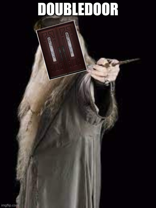 dubbledore |  DOUBLEDOOR | image tagged in harrypotter | made w/ Imgflip meme maker