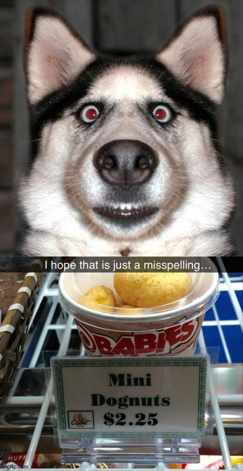 image tagged in you had one job | made w/ Imgflip meme maker