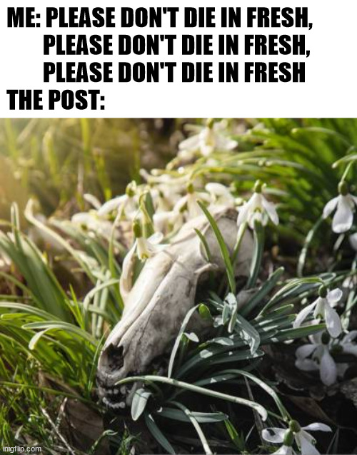 Seems about right | ME: PLEASE DON'T DIE IN FRESH, 
        PLEASE DON'T DIE IN FRESH, 
        PLEASE DON'T DIE IN FRESH
THE POST: | image tagged in failure,disappointment,fresh | made w/ Imgflip meme maker