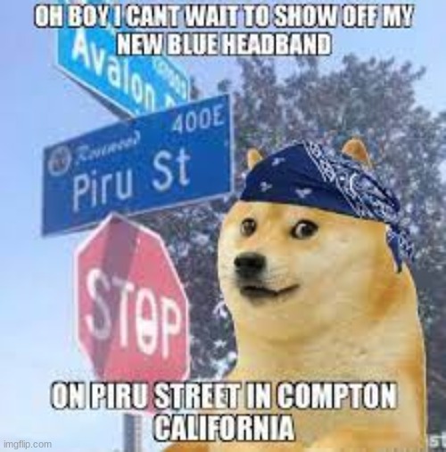 cripsssss | image tagged in gangsta | made w/ Imgflip meme maker
