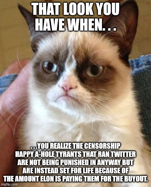 If there's a downside to the Twitter buyout it's this. | THAT LOOK YOU HAVE WHEN. . . . . .YOU REALIZE THE CENSORSHIP HAPPY A-HOLE TYRANTS THAT RAN TWITTER ARE NOT BEING PUNISHED IN ANYWAY BUT ARE INSTEAD SET FOR LIFE BECAUSE OF THE AMOUNT ELON IS PAYING THEM FOR THE BUYOUT. | image tagged in memes,grumpy cat,elon musk,twitter | made w/ Imgflip meme maker