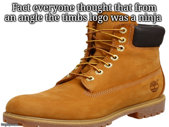 Fact everyone thought that from an angle the timbs logo was a ninja | made w/ Imgflip meme maker