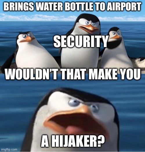 Airport |  BRINGS WATER BOTTLE TO AIRPORT; SECURITY; WOULDN’T THAT MAKE YOU; A HIJAKER? | image tagged in wouldn't that make you | made w/ Imgflip meme maker