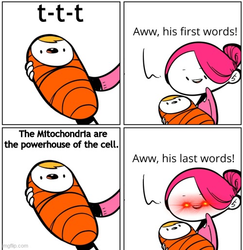My big brother would say this over and over and OVER again- | t-t-t; The Mitochondria are the powerhouse of the cell. | image tagged in aww his last words | made w/ Imgflip meme maker