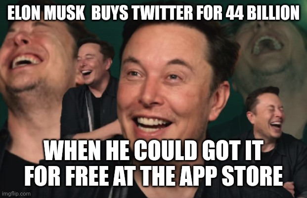 Elon musk buys twitter | ELON MUSK  BUYS TWITTER FOR 44 BILLION; WHEN HE COULD GOT IT FOR FREE AT THE APP STORE | image tagged in elon musk laughing | made w/ Imgflip meme maker