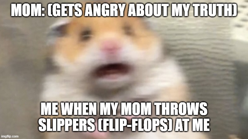 aAaaaAAAAaAaaaa | MOM: (GETS ANGRY ABOUT MY TRUTH); ME WHEN MY MOM THROWS SLIPPERS (FLIP-FLOPS) AT ME | image tagged in confused screaming | made w/ Imgflip meme maker