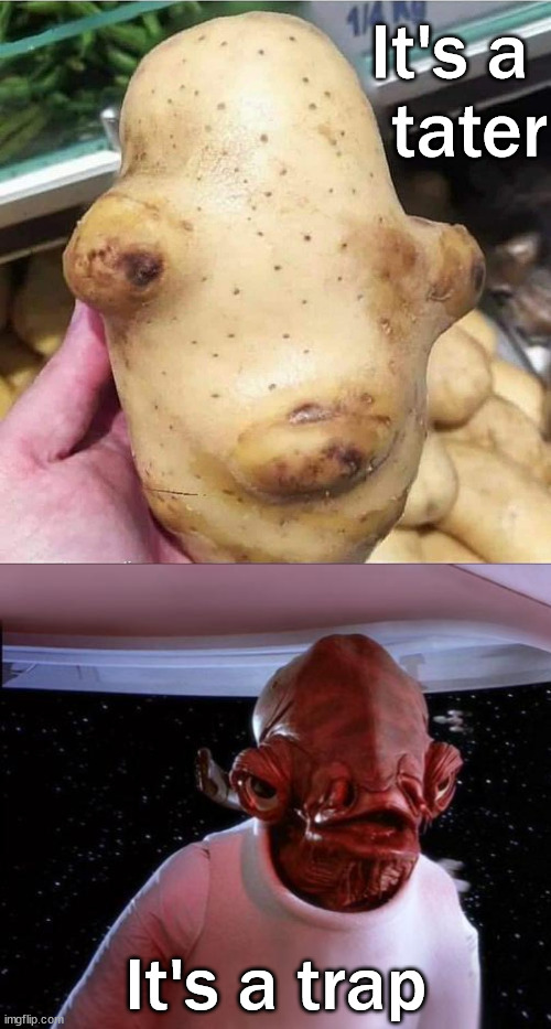 It's a 
tater; It's a trap | image tagged in mondays its a trap,starwars | made w/ Imgflip meme maker