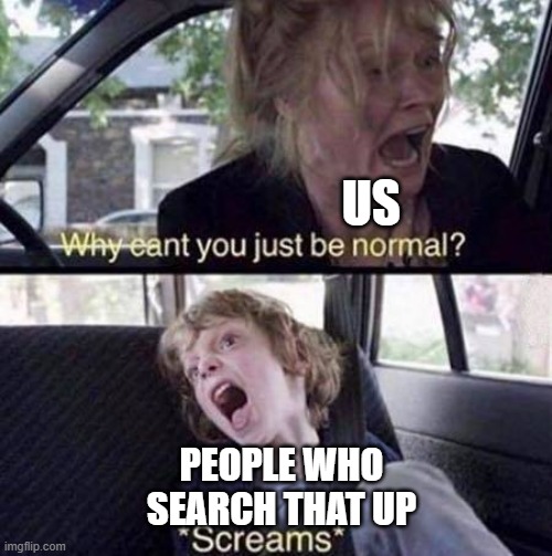 Why Can't You Just Be Normal | US PEOPLE WHO SEARCH THAT UP | image tagged in why can't you just be normal | made w/ Imgflip meme maker