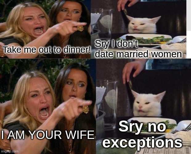 Woman Yelling At Cat Meme | Sry I don't date married women; Take me out to dinner! Sry no exceptions; I AM YOUR WIFE | image tagged in memes,woman yelling at cat | made w/ Imgflip meme maker
