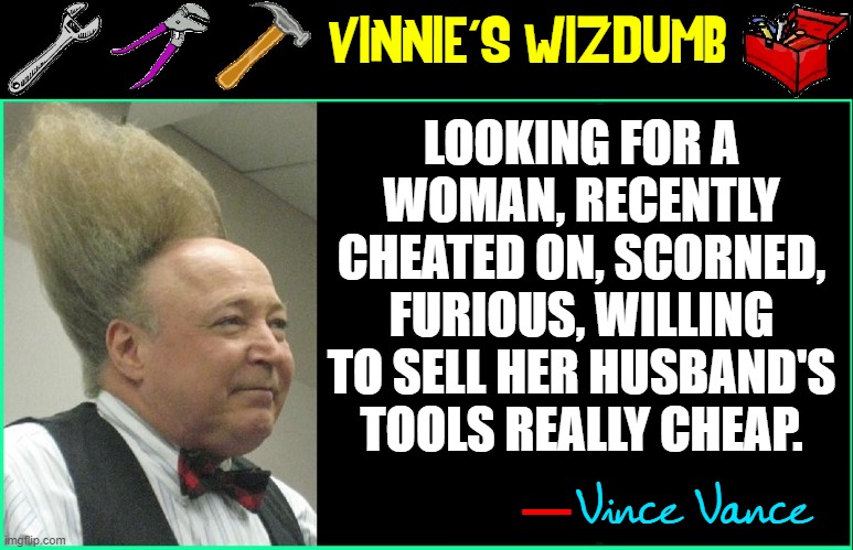 LOOKING FOR A WOMAN, RECENTLY CHEATED ON, SCORNED, FURIOUS, WILLING TO SELL HER HUSBAND'S TOOLS REALLY CHEAP. VINNIE'S WIZDUMB; Vince Vance; — | image tagged in vince vance,toxic relationships,memes,tools,cheating husband,vengence | made w/ Imgflip meme maker
