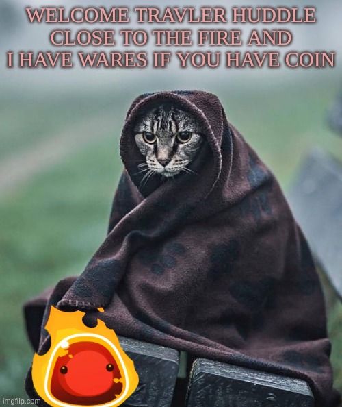 Khajit | WELCOME TRAVLER HUDDLE CLOSE TO THE FIRE AND I HAVE WARES IF YOU HAVE COIN | image tagged in khajit | made w/ Imgflip meme maker