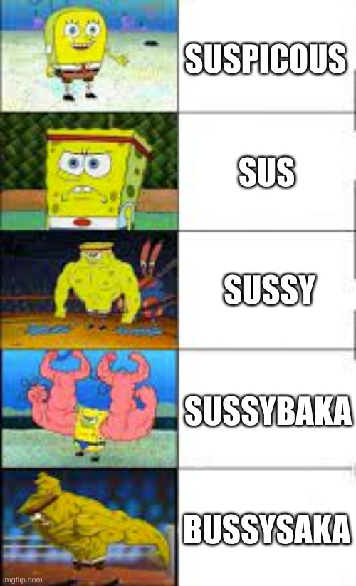 Spongebob Tier List | SUSPICOUS; SUS; SUSSY; SUSSYBAKA; BUSSYSAKA | image tagged in spongebob tier list,sus,memes | made w/ Imgflip meme maker