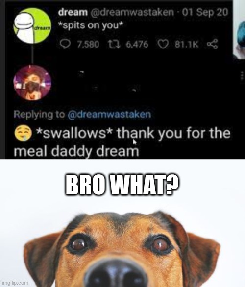 BRO WHAT? | image tagged in what the dog doin' though | made w/ Imgflip meme maker
