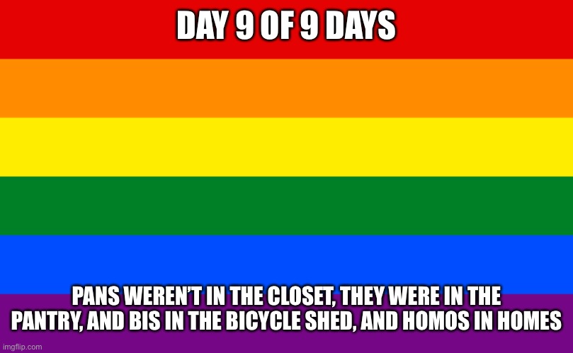 Pride flag | DAY 9 OF 9 DAYS; PANS WEREN’T IN THE CLOSET, THEY WERE IN THE PANTRY, AND BIS IN THE BICYCLE SHED, AND HOMOS IN HOMES | image tagged in pride flag | made w/ Imgflip meme maker