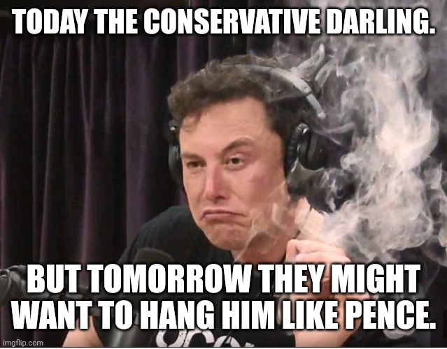 musk | TODAY THE CONSERVATIVE DARLING. BUT TOMORROW THEY MIGHT WANT TO HANG HIM LIKE PENCE. | image tagged in elon musk,conservative,republican,trump,twitter,democrat | made w/ Imgflip meme maker