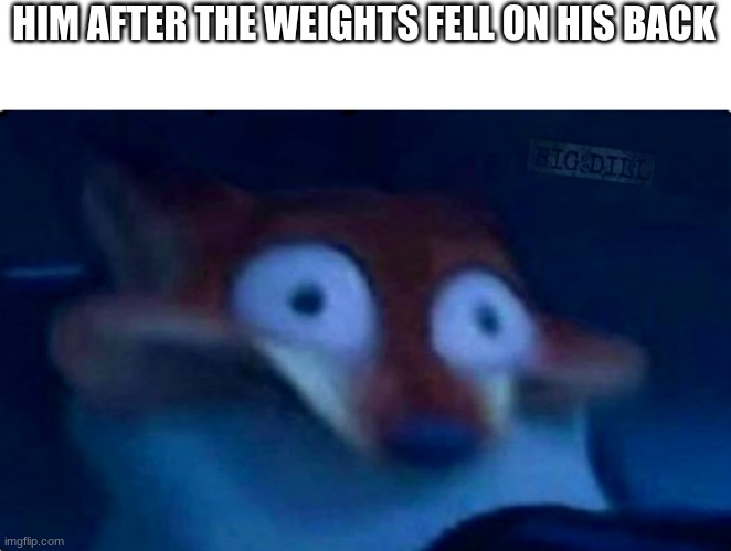 Nick Wilde | HIM AFTER THE WEIGHTS FELL ON HIS BACK | image tagged in nick wilde | made w/ Imgflip meme maker