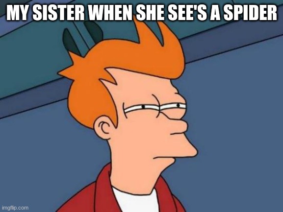 please see | MY SISTER WHEN SHE SEE'S A SPIDER | image tagged in memes,futurama fry | made w/ Imgflip meme maker