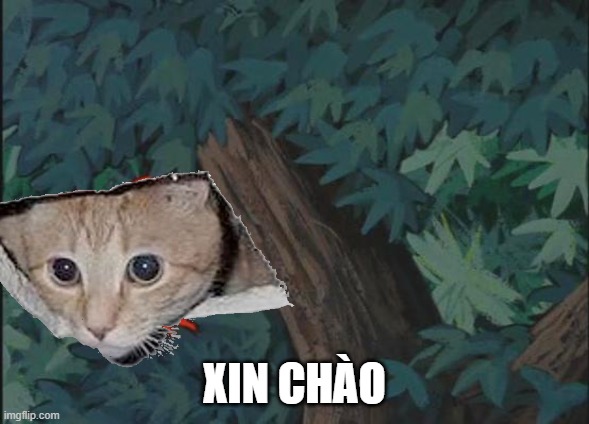 XIN CHÀO | made w/ Imgflip meme maker