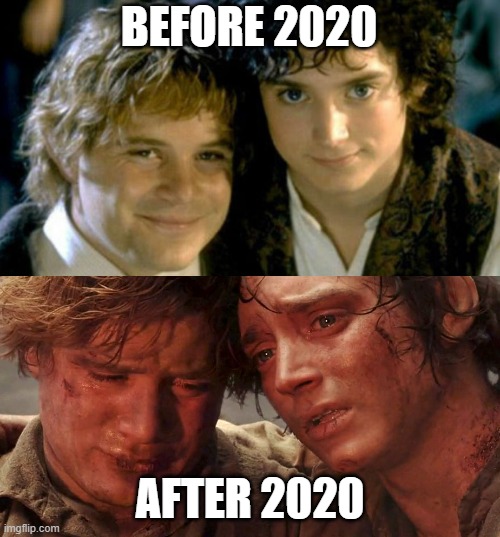 Sam and Frodo Before and After Mt Doom | BEFORE 2020; AFTER 2020 | image tagged in sam and frodo before and after mt doom | made w/ Imgflip meme maker