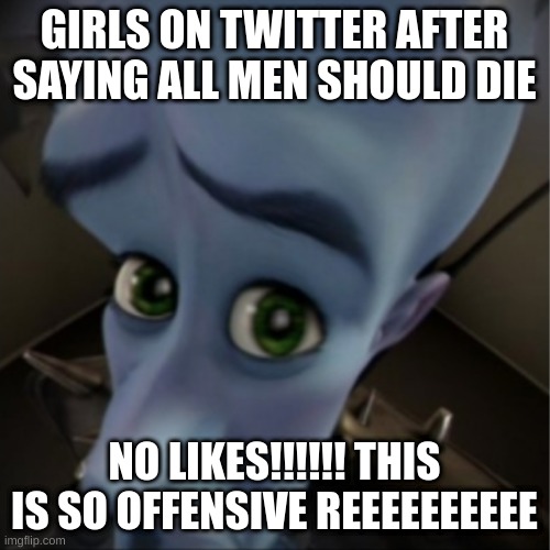 Megamind peeking | GIRLS ON TWITTER AFTER SAYING ALL MEN SHOULD DIE; NO LIKES!!!!!! THIS IS SO OFFENSIVE REEEEEEEEEE | image tagged in megamind peeking | made w/ Imgflip meme maker
