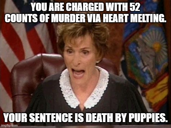 Judge Judy | YOU ARE CHARGED WITH 52 COUNTS OF MURDER VIA HEART MELTING. YOUR SENTENCE IS DEATH BY PUPPIES. | image tagged in judge judy | made w/ Imgflip meme maker