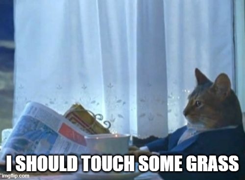 touch grass | I SHOULD TOUCH SOME GRASS | image tagged in memes,i should buy a boat cat,grass | made w/ Imgflip meme maker