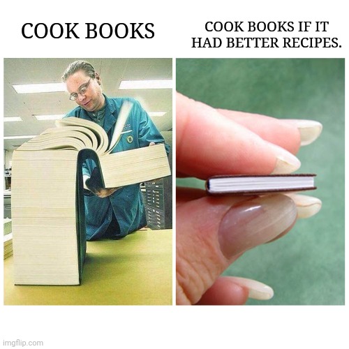 Cook books | COOK BOOKS IF IT HAD BETTER RECIPES. COOK BOOKS | image tagged in big book vs little book | made w/ Imgflip meme maker
