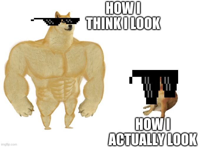 i am not popular | HOW I THINK I LOOK; HOW I ACTUALLY LOOK | image tagged in big dog small dog | made w/ Imgflip meme maker
