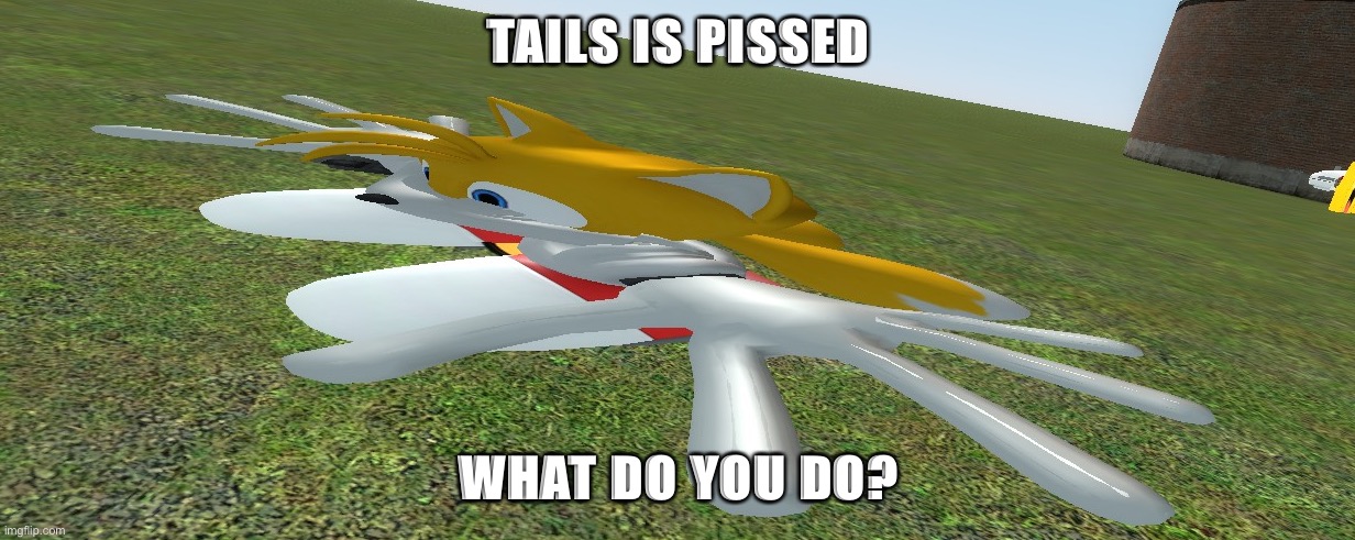 Do something | TAILS IS PISSED; WHAT DO YOU DO? | image tagged in pissed tails | made w/ Imgflip meme maker
