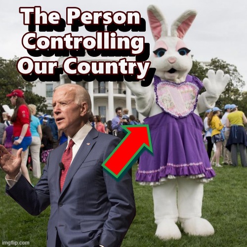 The Person Running the Country Finally Revealed | image tagged in easter bunny,biden,memes | made w/ Imgflip meme maker