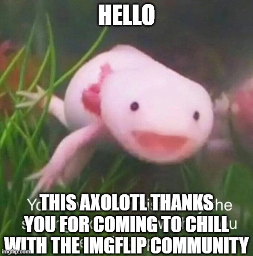 :) | HELLO; THIS AXOLOTL THANKS YOU FOR COMING TO CHILL WITH THE IMGFLIP COMMUNITY | image tagged in wholesom axolotl | made w/ Imgflip meme maker