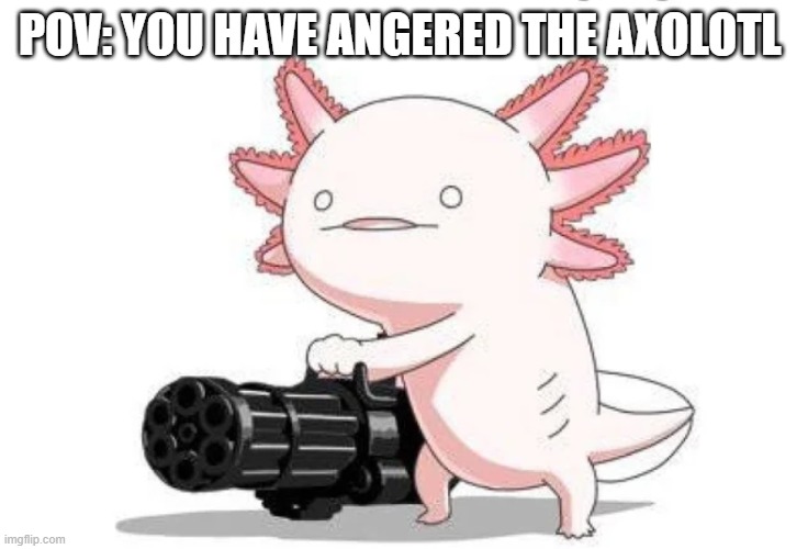 idk | POV: YOU HAVE ANGERED THE AXOLOTL | image tagged in axolotl with a minigun | made w/ Imgflip meme maker