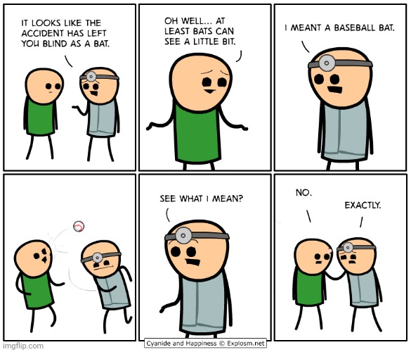 Blind as a bat | image tagged in cyanide and happiness,blind as a bat,comics,comics/cartoons,baseball | made w/ Imgflip meme maker