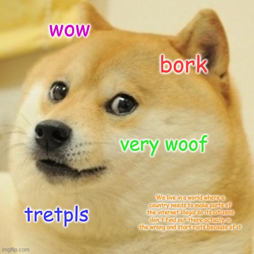 Doge Meme | wow; bork; very woof; We live in a world where a country needs to make parts of the internet illegal so its citizens don't find out there actually in the wrong and start riots because of it; tretpls | image tagged in memes,doge | made w/ Imgflip meme maker