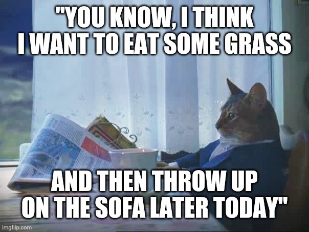 Feeling cute, might yack later... |  "YOU KNOW, I THINK I WANT TO EAT SOME GRASS; AND THEN THROW UP ON THE SOFA LATER TODAY" | image tagged in cat reading newspaper,barf,cat,feeling cute,vomit | made w/ Imgflip meme maker