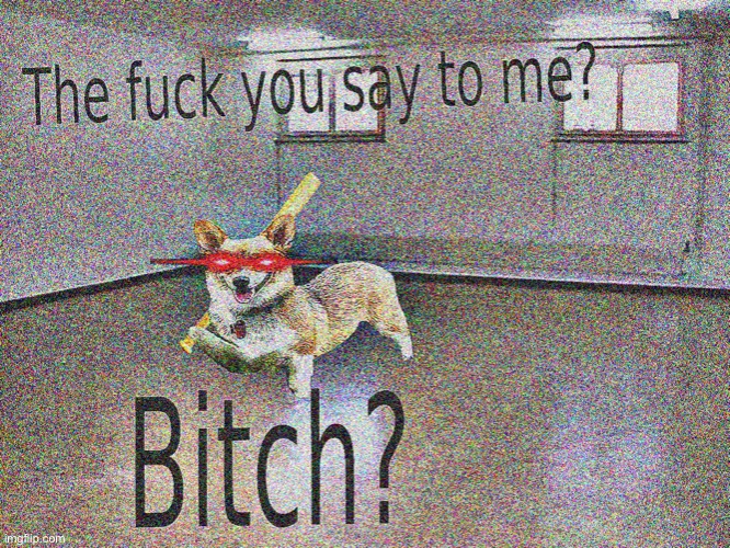 The fuck you say to me? Bitch? | image tagged in the fuck you say to me bitch | made w/ Imgflip meme maker