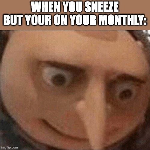 some will get it | WHEN YOU SNEEZE BUT YOUR ON YOUR MONTHLY: | image tagged in uh oh gru,life | made w/ Imgflip meme maker
