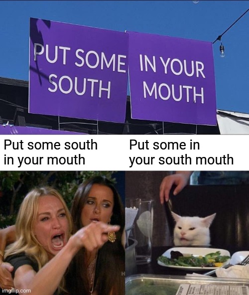 Put some south in your mouth; Put some in your south mouth | image tagged in memes,woman yelling at cat | made w/ Imgflip meme maker