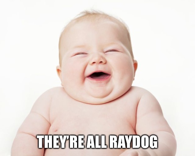 THEY’RE ALL RAYDOG | image tagged in cuteness | made w/ Imgflip meme maker