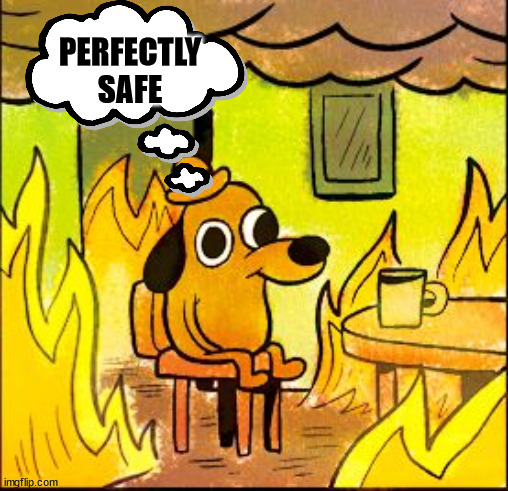 This is fine | PERFECTLY SAFE | image tagged in this is fine | made w/ Imgflip meme maker