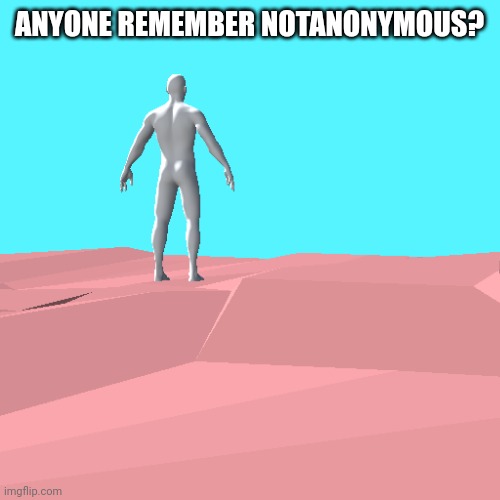 mans gone for 2 months | ANYONE REMEMBER NOTANONYMOUS? | image tagged in 3d thingy | made w/ Imgflip meme maker