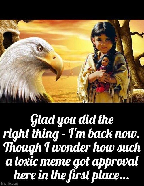 A little worried | Glad you did the right thing - I'm back now. Though I wonder how such a toxic meme got approval here in the first place... | image tagged in native american,equality | made w/ Imgflip meme maker