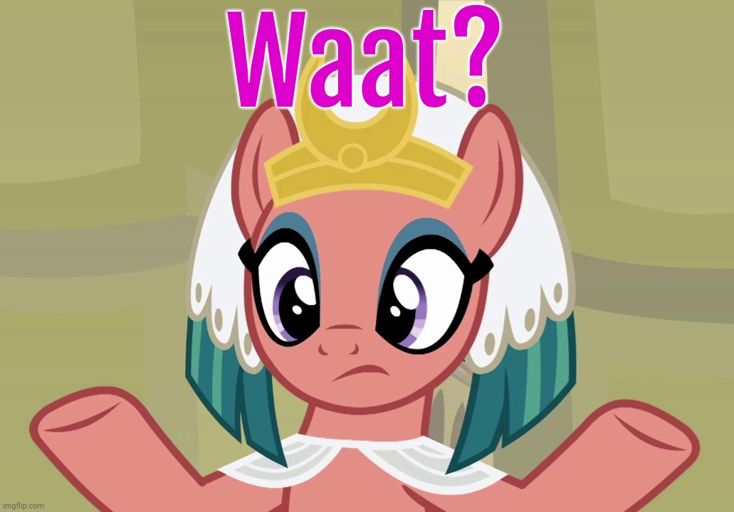 Concerned Somnambula (MLP) | Waat? | image tagged in concerned somnambula mlp | made w/ Imgflip meme maker