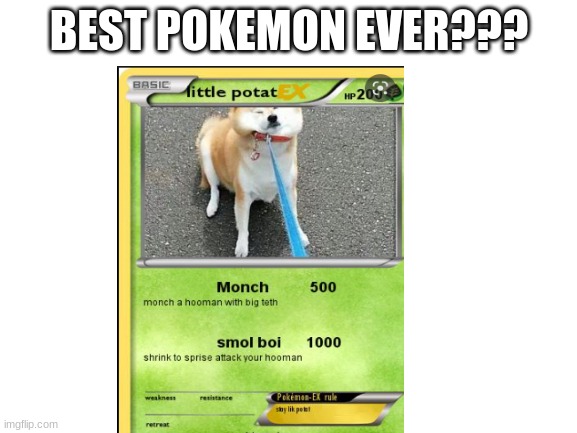 Blank White Template | BEST POKEMON EVER??? | image tagged in blank white template | made w/ Imgflip meme maker