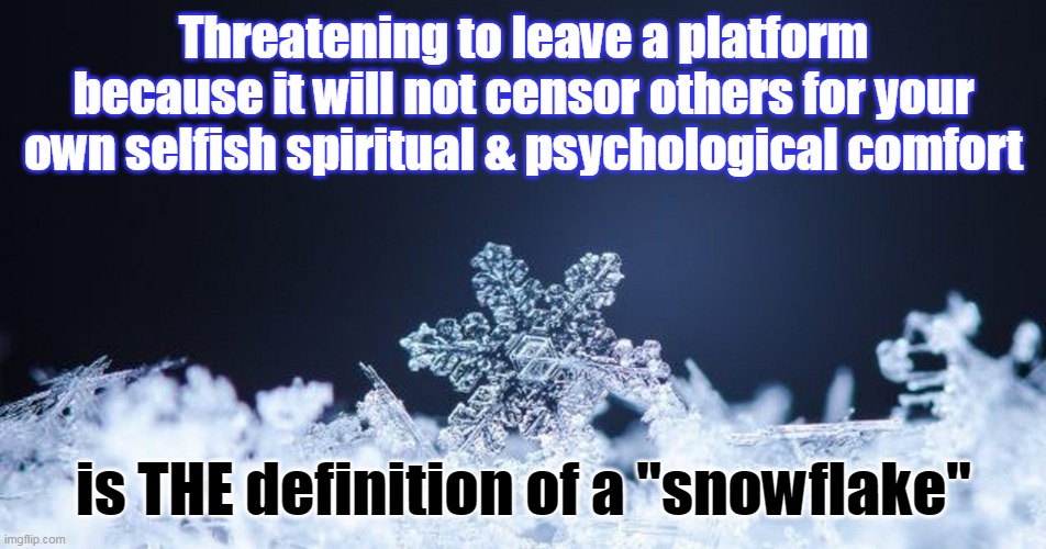 "Stick and stones may break my bones, but words will NEVER hurt me." | Threatening to leave a platform because it will not censor others for your own selfish spiritual & psychological comfort; is THE definition of a "snowflake" | image tagged in snowflakes,grow up,babies | made w/ Imgflip meme maker