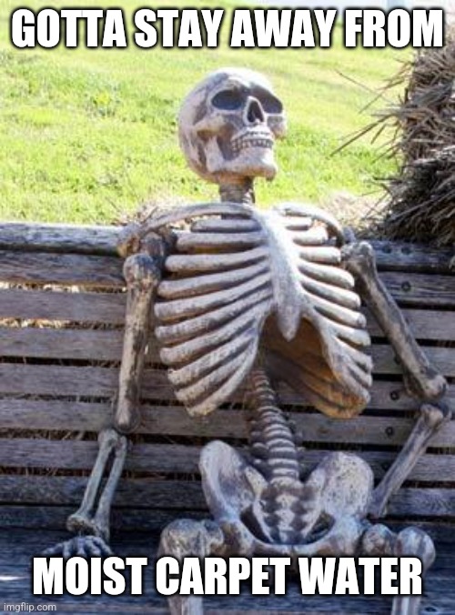Waiting Skeleton Meme | GOTTA STAY AWAY FROM MOIST CARPET WATER | image tagged in memes,waiting skeleton | made w/ Imgflip meme maker