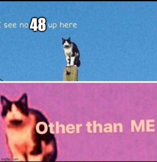 I see no god up here other than me | 48 | image tagged in i see no god up here other than me | made w/ Imgflip meme maker